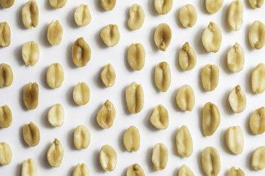 Пищевая аллергия: главные вопросы